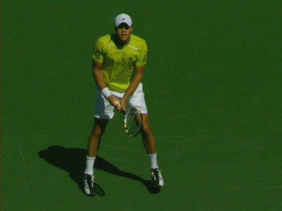 Jo Willie Tsonga: Serve