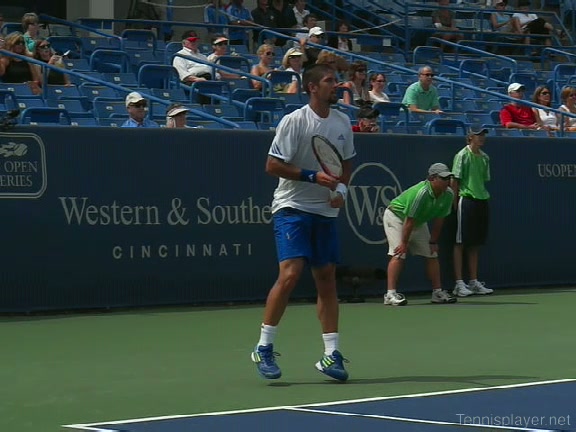 Fernando Verdasco: Serve