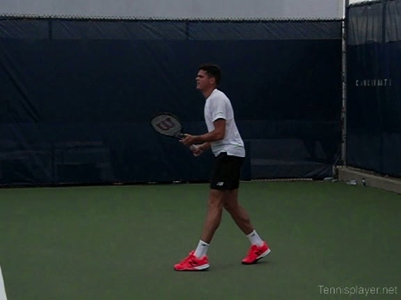 Milos Raonic: Net Game