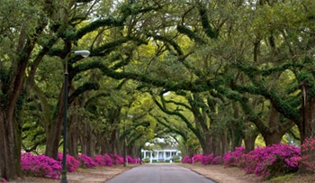 College, the Army, Marriage, Japan, Jimmy Boy