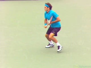 The Framework: An Introduction