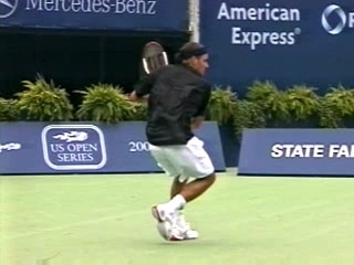 Establishing Dominance