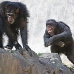 Why Do We Want to Win?