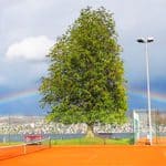 The Belle Epoque: Part 2