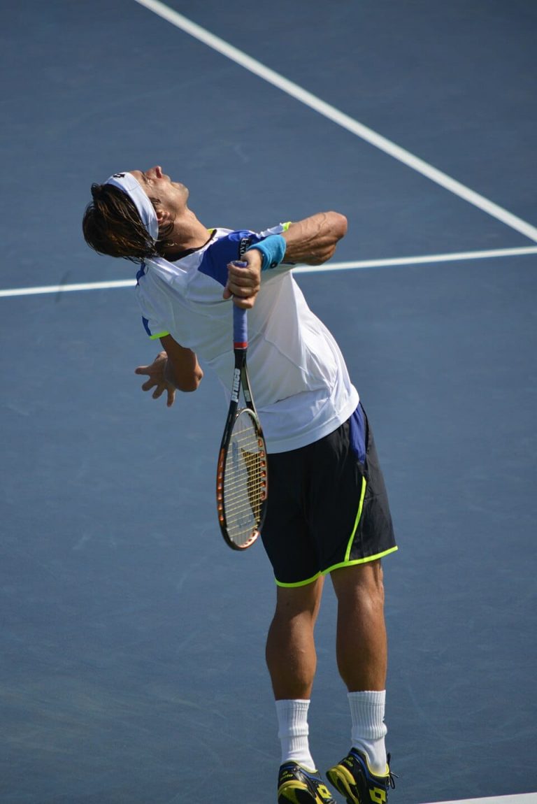 David Ferrer